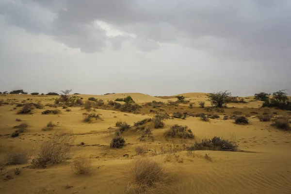 Uprostřed Pouště Rajasthan Indie — Stock fotografie