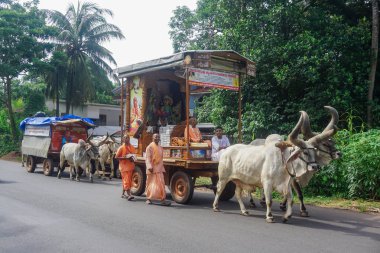 Kerala, Hindistan - 2 Ağustos 2017: Vaishnava misyoner faaliyetleri ve Hindistan boğalar ve vagonlar yardımı ile seyahat. Onlar hakkında 10 km, yürüyüş her gün vaaz, şarkılar ve insanlara yardım.