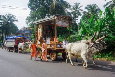 Kerala, Hindistan - 2 Ağustos 2017: Vaishnava misyoner faaliyetleri ve Hindistan boğalar ve vagonlar yardımı ile seyahat. Onlar hakkında 10 km, yürüyüş her gün vaaz, şarkılar ve insanlara yardım.