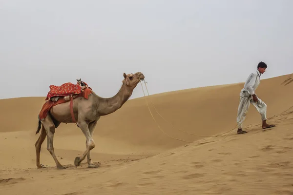 Джайсалмер Індія Липня 2017 Хлопець Веде Верблюда Через Дюни Пустелі — стокове фото