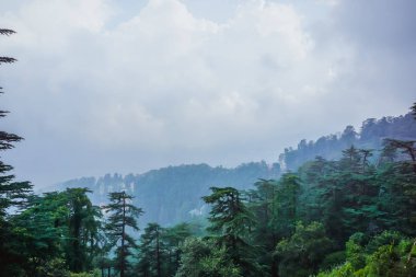 Güzel doğa Shimla, Hindistan