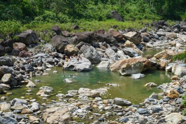 Sikkim, India - 14 Mayıs 2017: Dağ nehir, büyük taşlar ve bu nehirde Yüzme mutlu Hintli çocuk