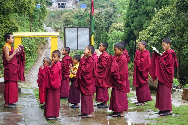 Pelling Sikkim India Mayo 2017 Los Niños Monjes Budistas Preparan — Foto de Stock