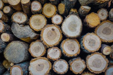 yığın odun dokusu