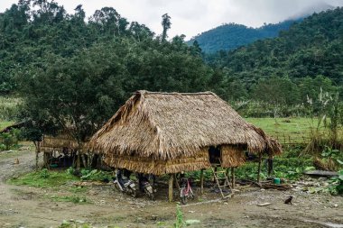 Vietnam köylerinden birinde eski ahşap ev. Quan Binh Eyaleti