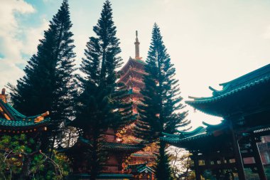 Vietnam Pleiku şehrinde Minh Thanh Pagoda