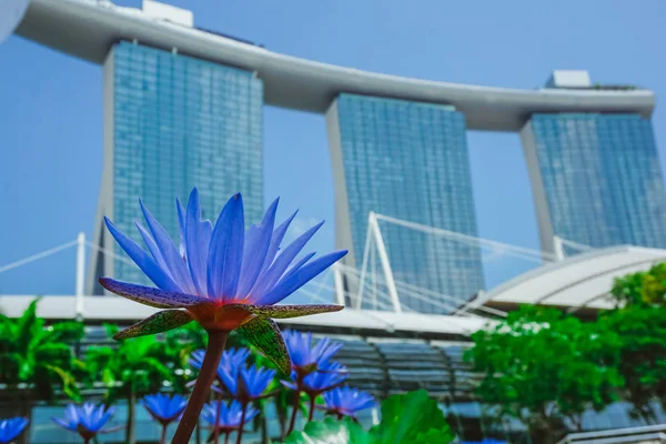 Jachthaven Baai Zand Singapore — Stockfoto