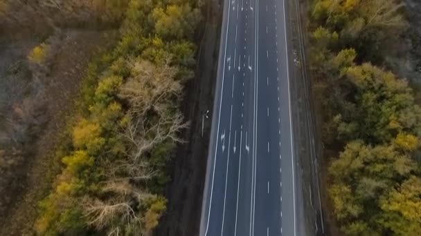 Inspección Aérea Vuelo Largo Carretera Otoño Coches Movimiento Árboles Largo Metraje De Stock Sin Royalties Gratis