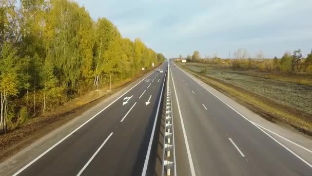 航空測量 後半の秋の高速道路に沿ってパノラマ フライト 車を移動します 高速道路沿いの木々 動画クリップ