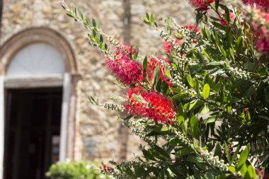 yarım puanlık kemer kilise ve Akdeniz çiçek