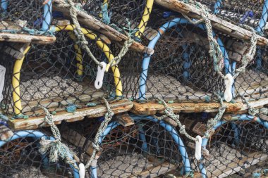 Balık tuzakları, ıstakoz tencere Harbor