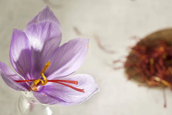 Flor Açafrão Tipos Uma Colher Detalhe Macro — Fotografia de Stock