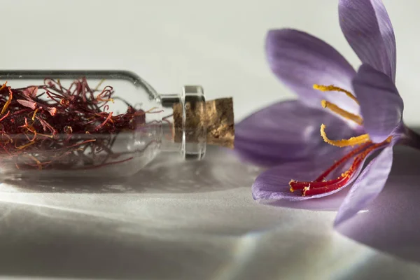 Saffron flower and dried saffron spice in a bottle , macro detail