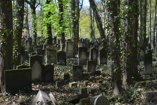 Abril 2016 Berlín Alemania Cemetría Judía Imagen De Stock