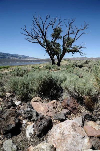 Lake Landschap Californië — Stockfoto