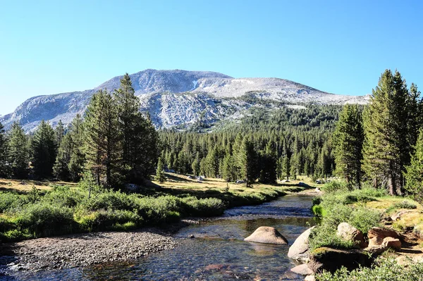 Yosemite Park Kalifornie Spojené Státy Americké — Stock fotografie