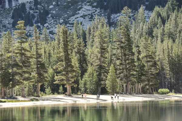 Yosemite Park Каліфорнія Сша — стокове фото