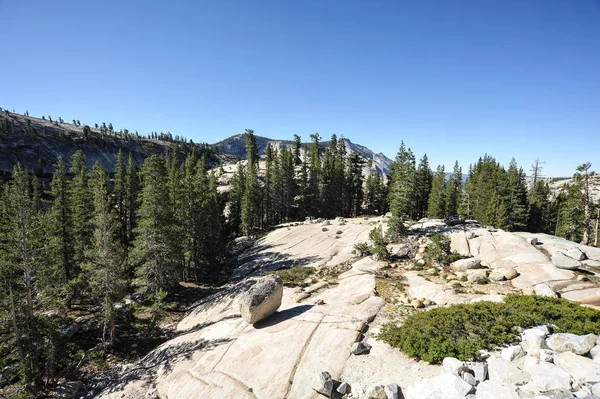 Yosemite Park Kalifornie Spojené Státy Americké — Stock fotografie