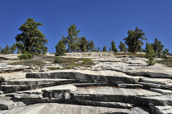 Yosemite Park Kalifornie Spojené Státy Americké — Stock fotografie