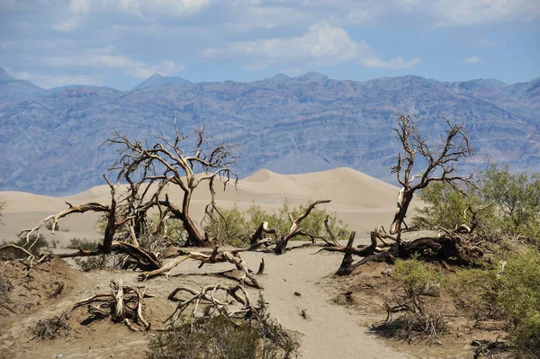 Death Valley Verenigde Staten — Stockfoto