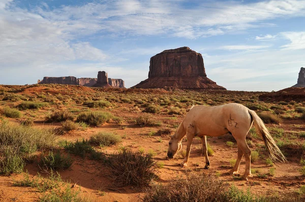 Horse Monument Valley Estados Unidos América — Fotografia de Stock
