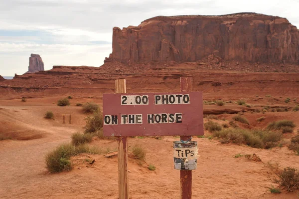 Horse Monument Valley Estados Unidos América — Fotografia de Stock