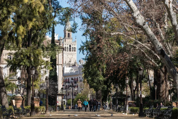 Nyilvános Park Sevilla Andalúzia Február 2019 — Stock Fotó