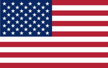 Amerikan bayrağının vektör görüntüsü