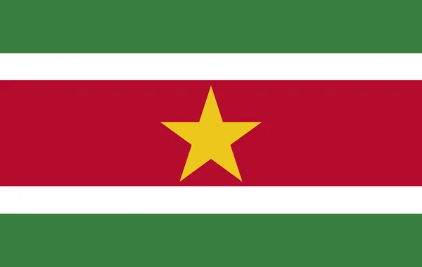 Alta bandera vectorial detallada de Surinam — Vector de stock