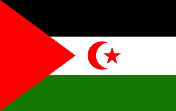 Σημαία Της Δυτικής Σαχάρας Εικονογράφηση — Φωτογραφία Αρχείου