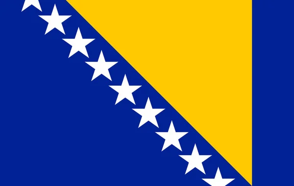 Vlag van Bosnië en Herzegovina, vectorillustratie — Stockvector