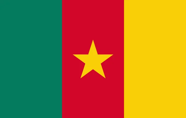 Kamerun zászló, hivatalos színek és arányának megfelelően. — Stock Fotó