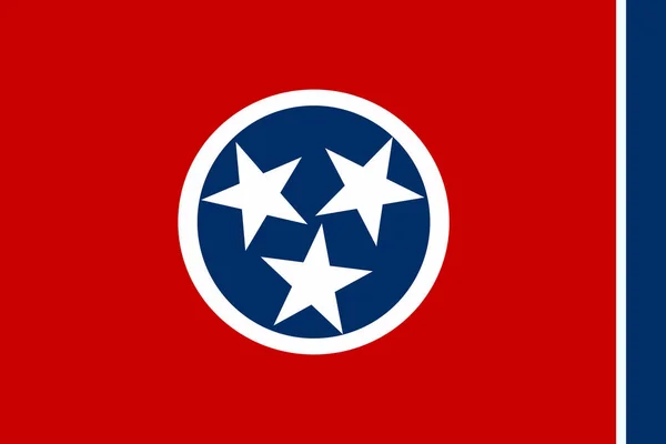 Bandera del Estado federado de los Estados Unidos . — Vector de stock