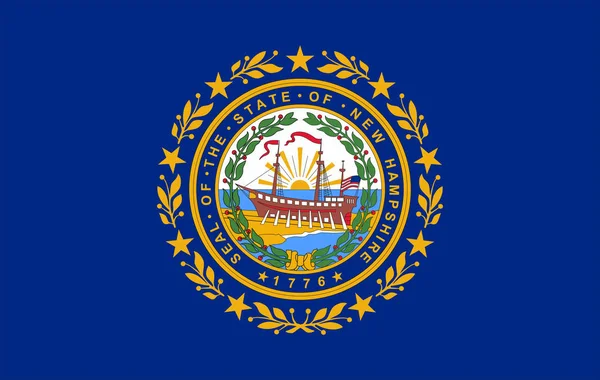 Drapeau de l'État du New Hampshire aux États-Unis . — Image vectorielle