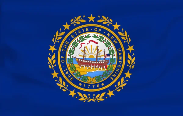 挥舞着新罕布什尔州的旗帜。10 每股收益 — 图库矢量图片