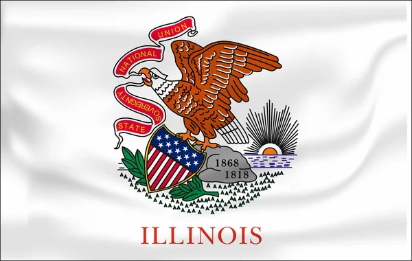 Illinois bayrağını sallıyor. 10 Eps — Stok Vektör