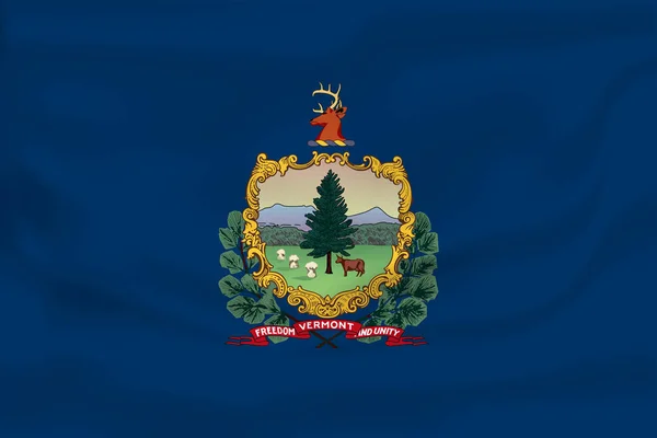 Drapeau du Vermont. 10 EPS — Image vectorielle