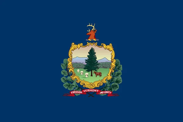 Bandera de Vermont estado de los Estados Unidos . — Archivo Imágenes Vectoriales