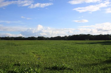 Bulutlu gökyüzü ve göl güzel manzara fotoğrafı olduğunu. 