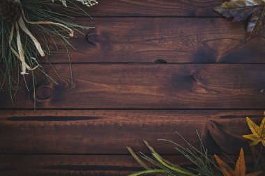 Kahverengi rustik ahşap arka plan kopya alanı için harika sonbahar foiliage ile. 