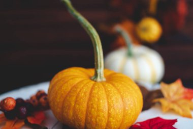 Koyu kahverengi ahşap arka plan ile yeşillik Pumpkins ile düşme.