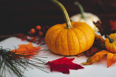 Koyu kahverengi ahşap arka plan ile yeşillik Pumpkins ile düşme.