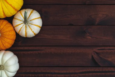 Çeşitli Kabak Koyu kahverengi Yönetim Kurulu Şükran veya Halloween mesajlaşma için büyük. 