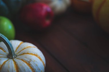 Çeşitli Kabak Koyu kahverengi Yönetim Kurulu Şükran veya Halloween mesajlaşma için büyük. 