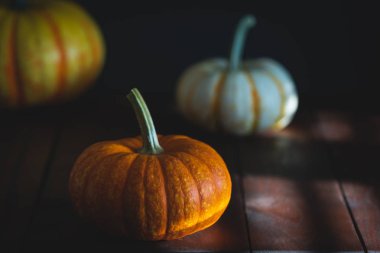 Arka planda bir sonbahar ya da sonbahar Şükran veya Halloween için büyük kabak.