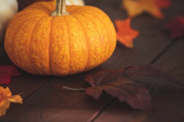 Kabak güz yaprakları sonbaharda bir arka plan ile.