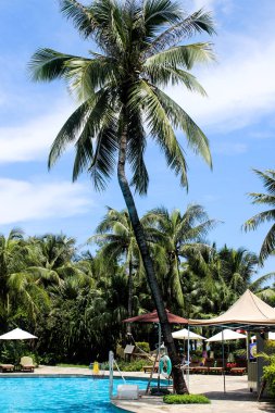 Asya Çin Hainan Sanya