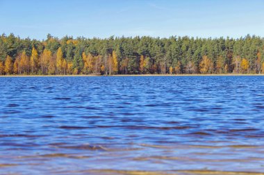 Mavi göl sonbahar ormandaki orman