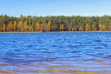 Mavi göl sonbahar ormandaki orman