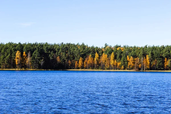 Голубое Озеро Осеннем Лесу — стоковое фото